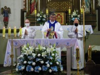  Odpust MB Szkaplerznej 