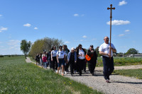 Bł. Marta Wiecka 09.05.2026 r. 